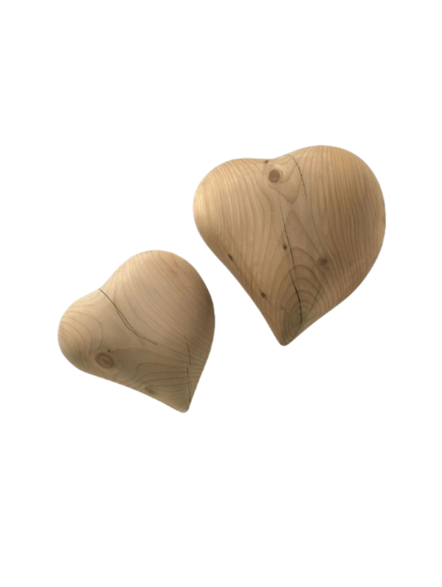 Cuore